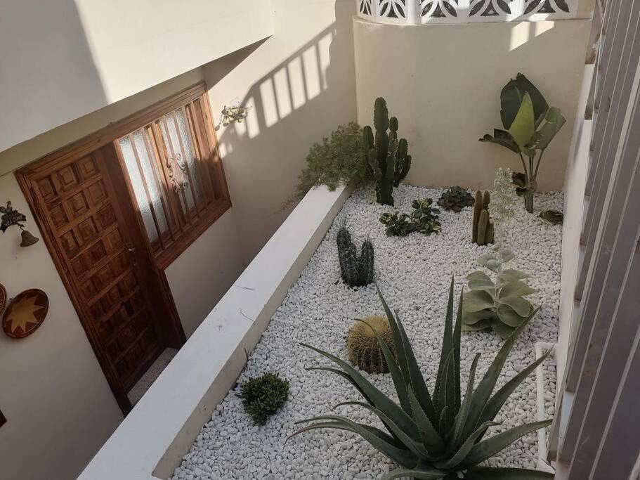 Casa Las Pencas De Margarita Los Realejos Exterior foto